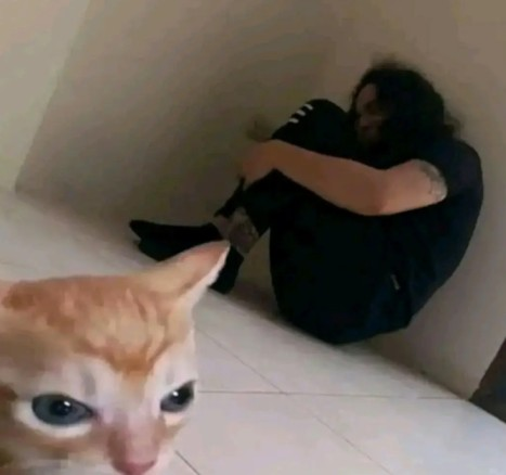 :abusive-cat:
