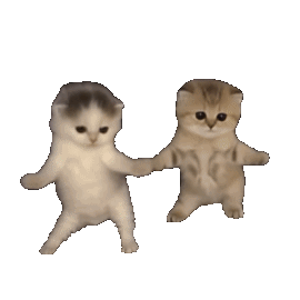 :kitty-dance: