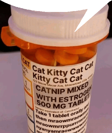 :catnip: