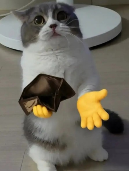:poor-cat: