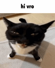 :hivro:
