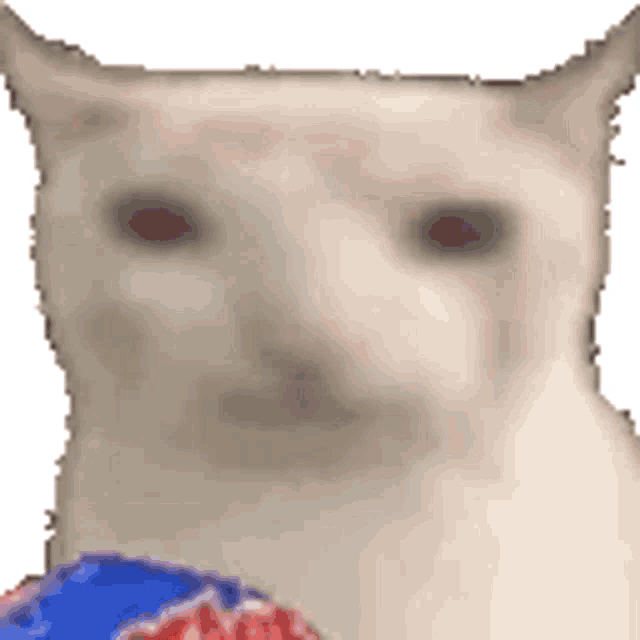 :cateat: