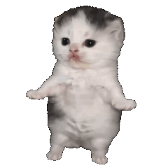 :kitty-wiggle: