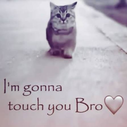 :brooooo:
