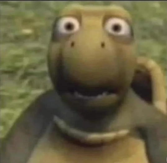 :shocked-turtle: